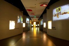 幻影成像在博物館中的應用