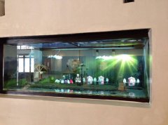 幻影成像技術(shù)的應(yīng)用概述